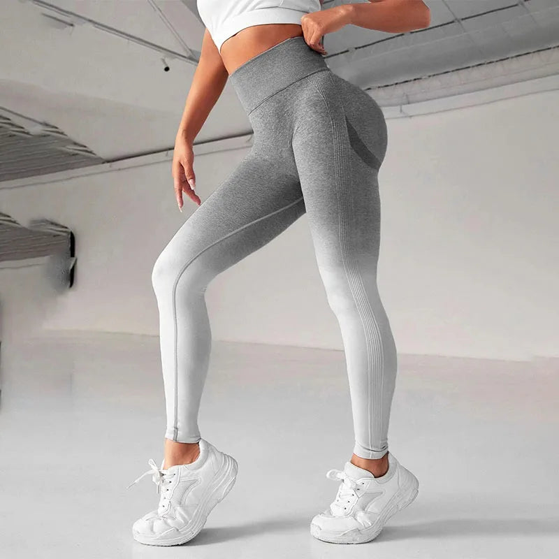 Gradient Seamless High Waist Leggings - Stretch Gym Workout Tights