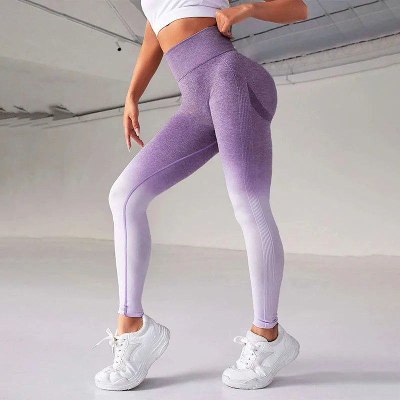 Gradient Seamless High Waist Leggings - Stretch Gym Workout Tights