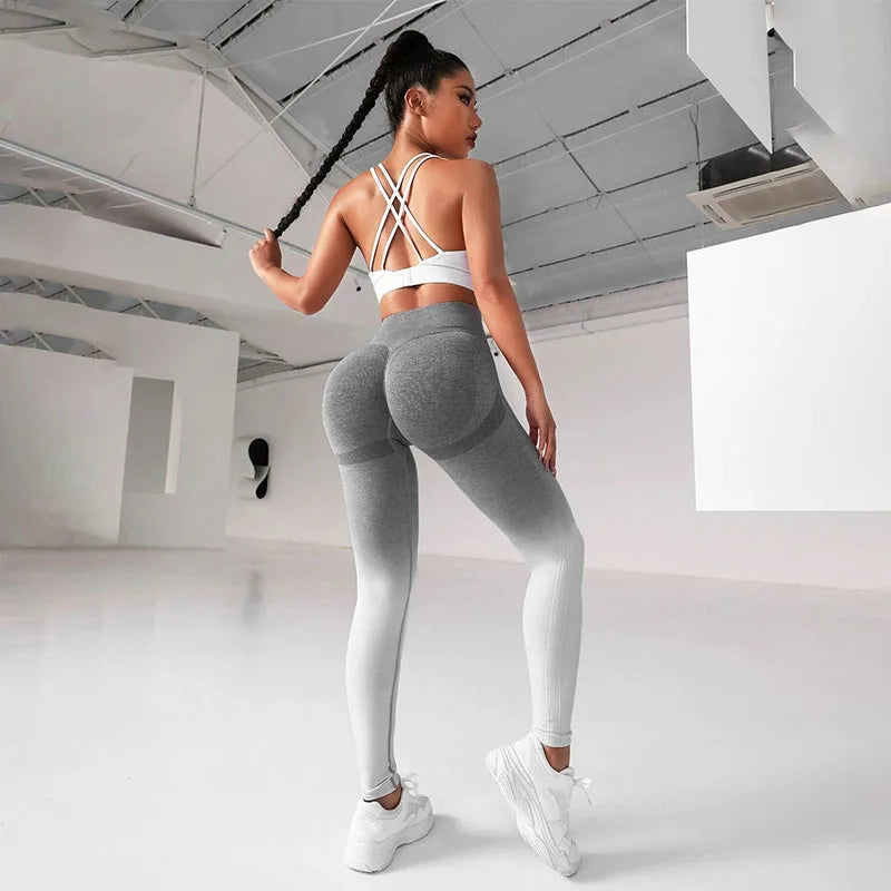 Gradient Seamless High Waist Leggings - Stretch Gym Workout Tights