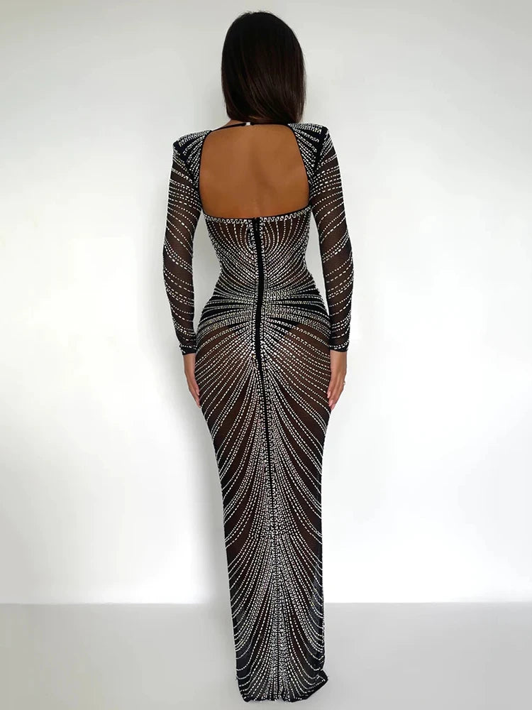 Glitter Mesh Bodycon Maxi Dress - Long Sleeve See Through Evening Outfit
