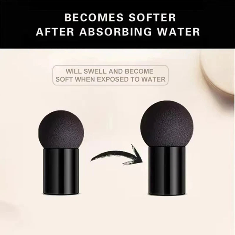 Mushroom Head Air Cushion CC Cream - Oil Control Moisturizing Foundation